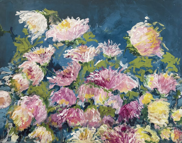 Chrysanthemum i fuld flor